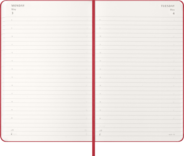 Agenda giornaliera Large rigida 13x21 | Moleskine