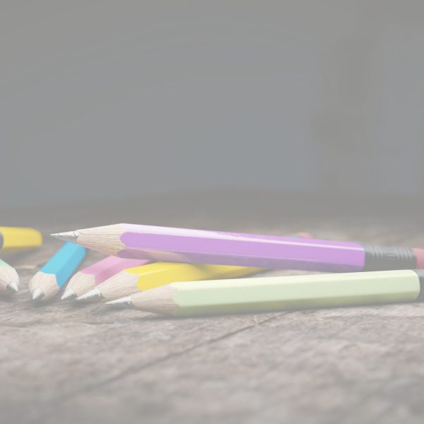 Affilamine doppio+ spugna | Niji