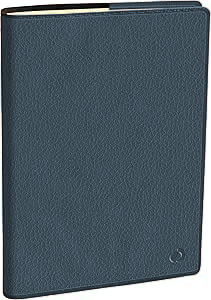370354_blu Agenda bigiornaliera Mini 2 Days 7x10 | Quo Vadis